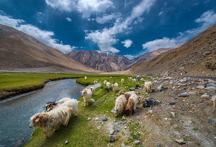 Leh Ladakh via Srinagar